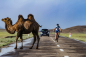 Preview: Kulinarische Weltreise mit Guido Kunze: Mit dem Fahrrad durch die Mongolei