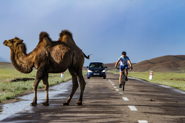 Kulinarische Weltreise mit Guido Kunze: Mit dem Fahrrad durch die Mongolei