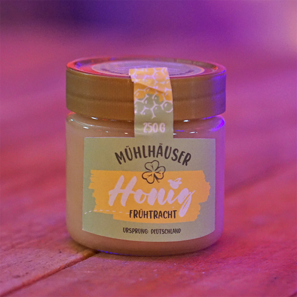 Honig Frühtracht
